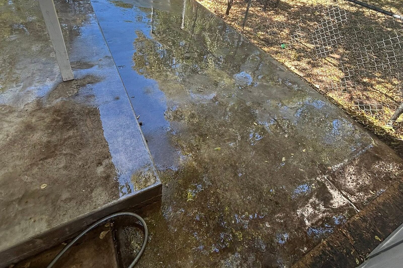 Mayo Pressure Washing at work