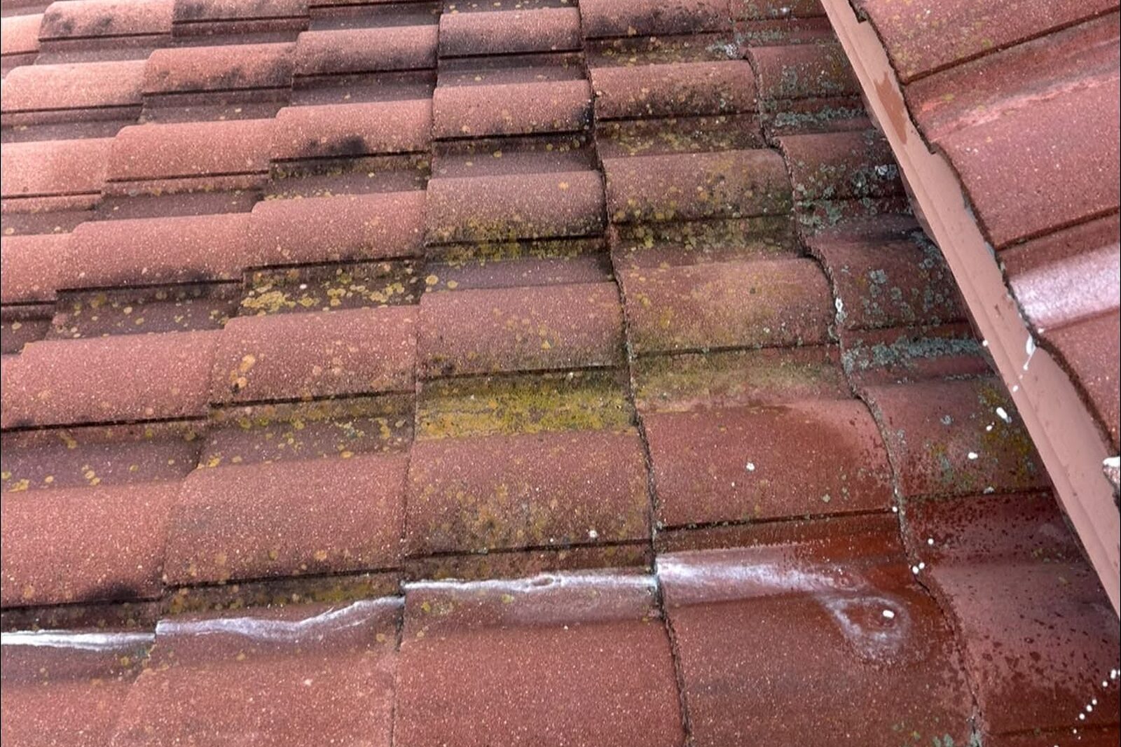 Mayo Pressure Washing at work