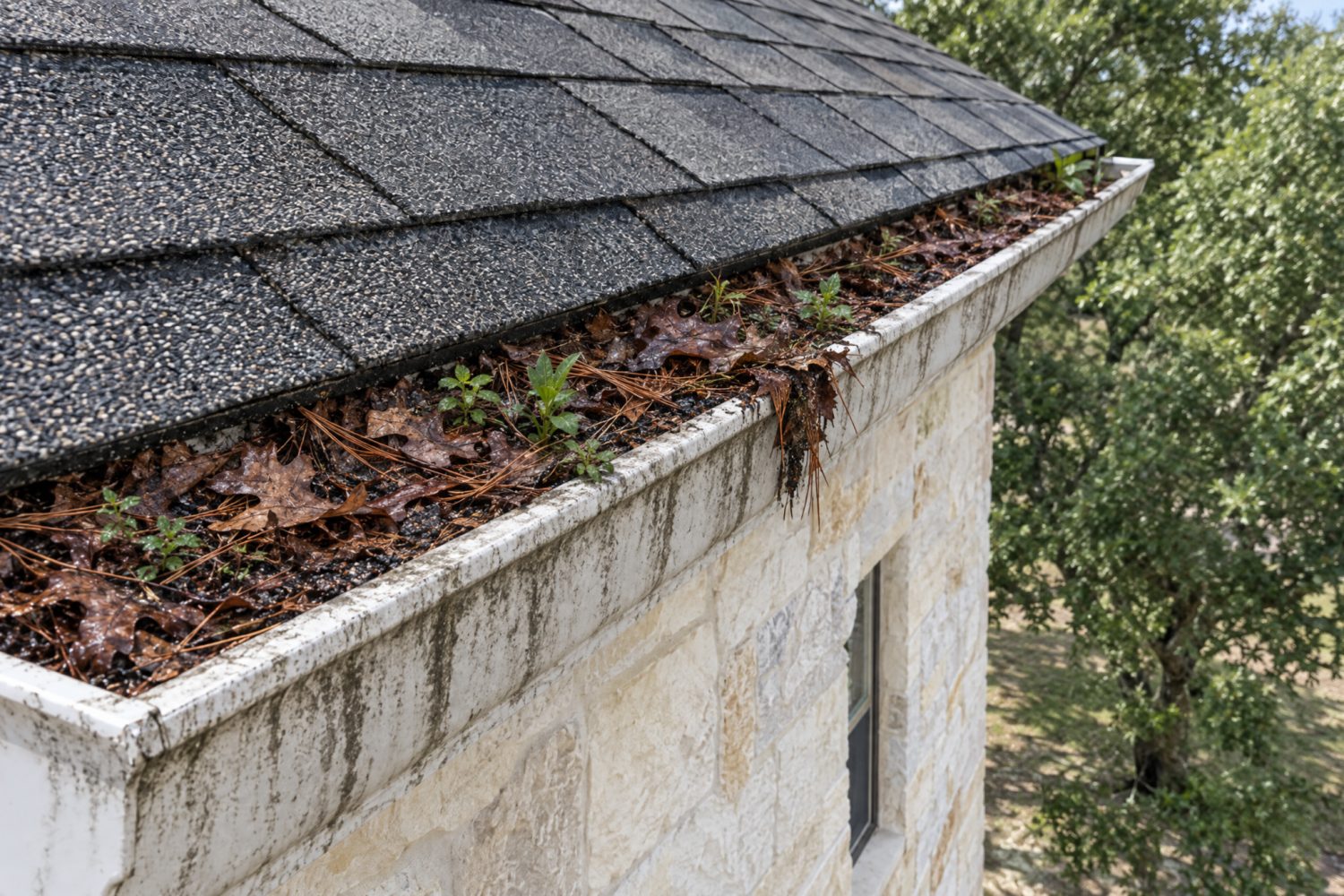 A gutter packed with leaves and streaked on the outside