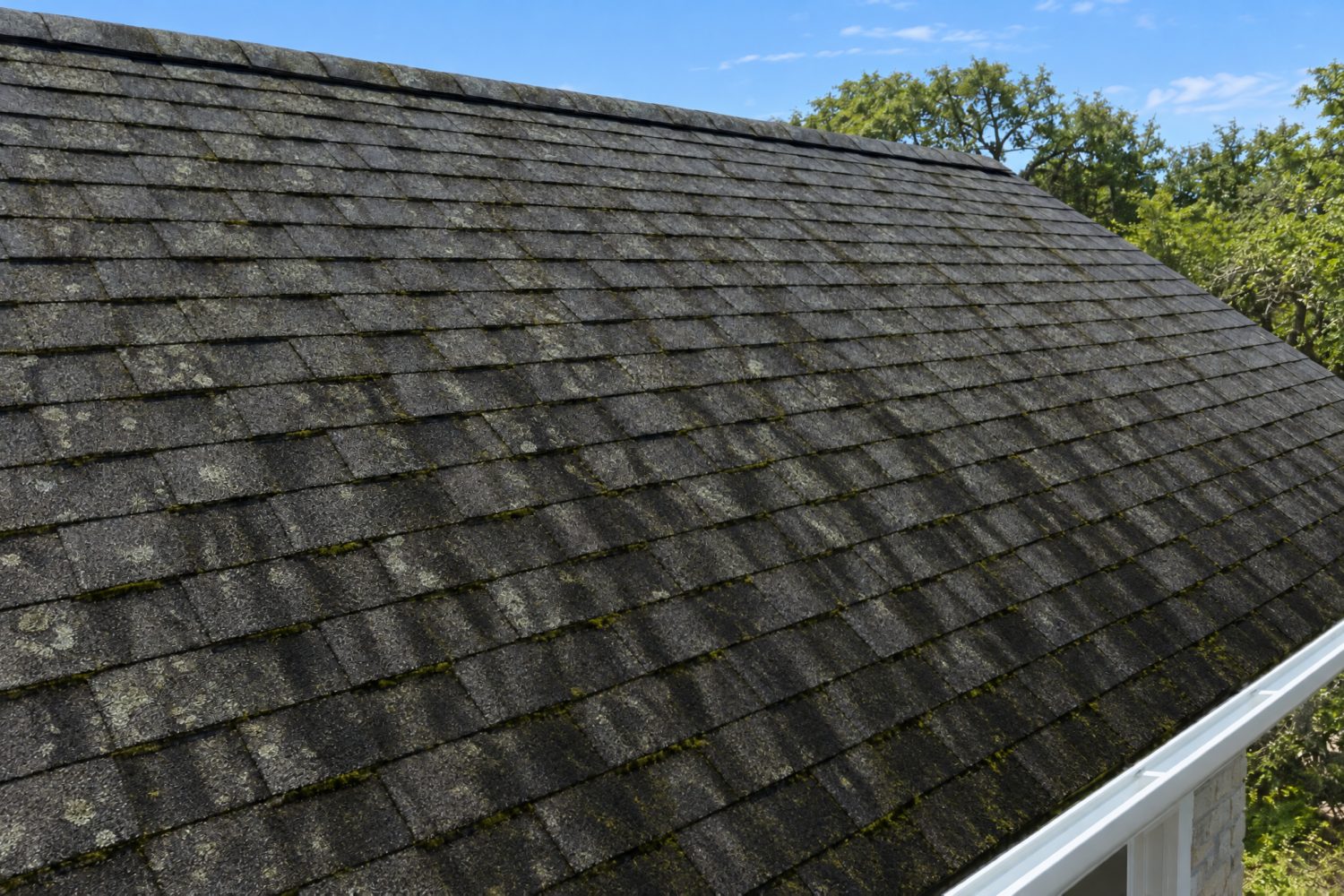 Shingles up close, streaked with black algae, lichen and moss